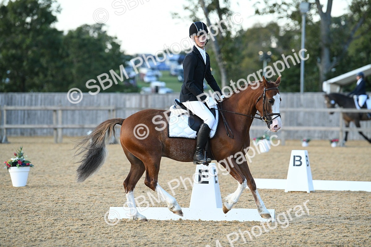 SBM_30978 - D16 - Small Tour Championship - Novice 28