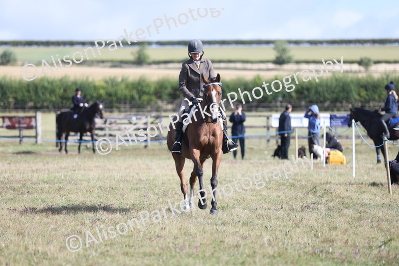 20250831-0924 - Class 14 - Ex Racehorse