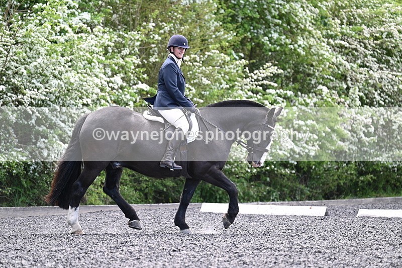 WJ7_9013 - Time 11:32 to 11:54