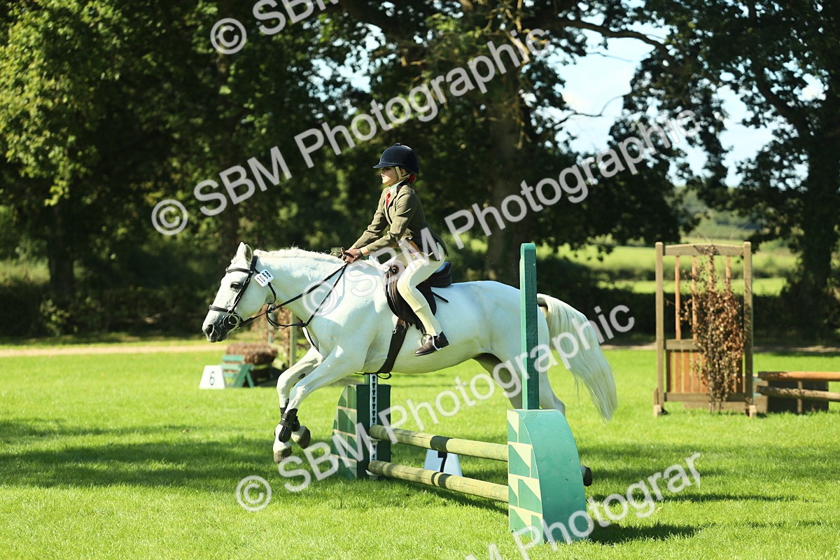SBM_39134 - S29 - Novice & Newcomers Working Hunter Pony