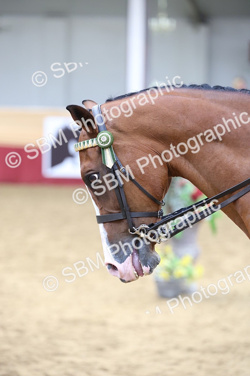 SBM_24089 - Class 905 - Supreme Final - Ridden Veteran