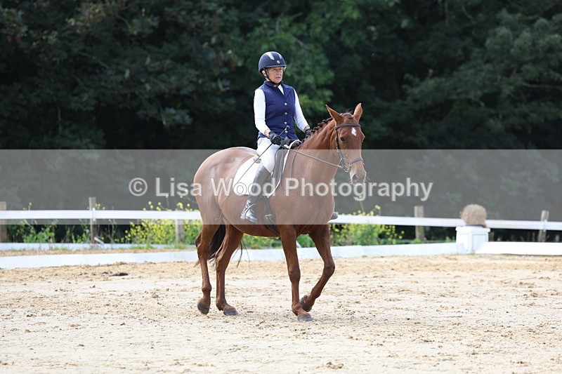 3E7A4195 - Class 10: Elementary 6 Championship