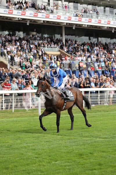 yr17082022r4-102 - Race 4 3.35pm Juddmonte International Stakes (British Champions Series Race)