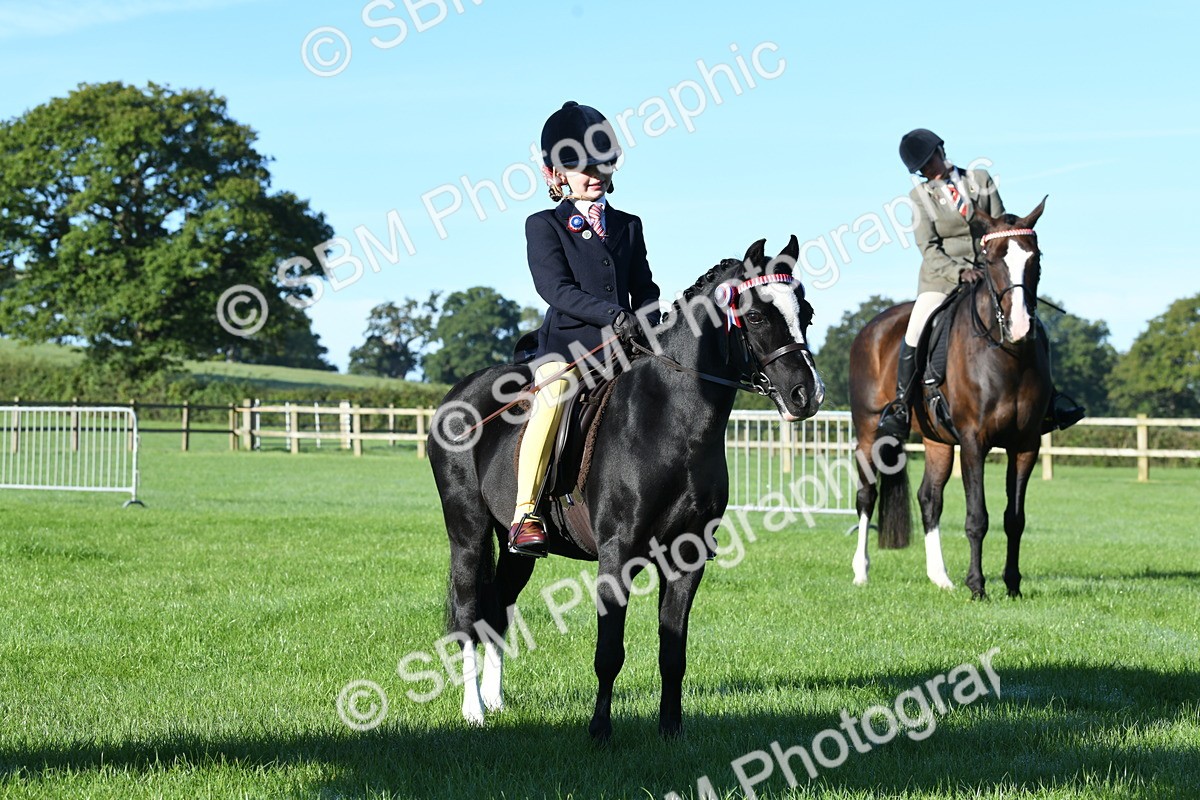 SBM_34033 - S16 - Condition & Turnout - Ridden