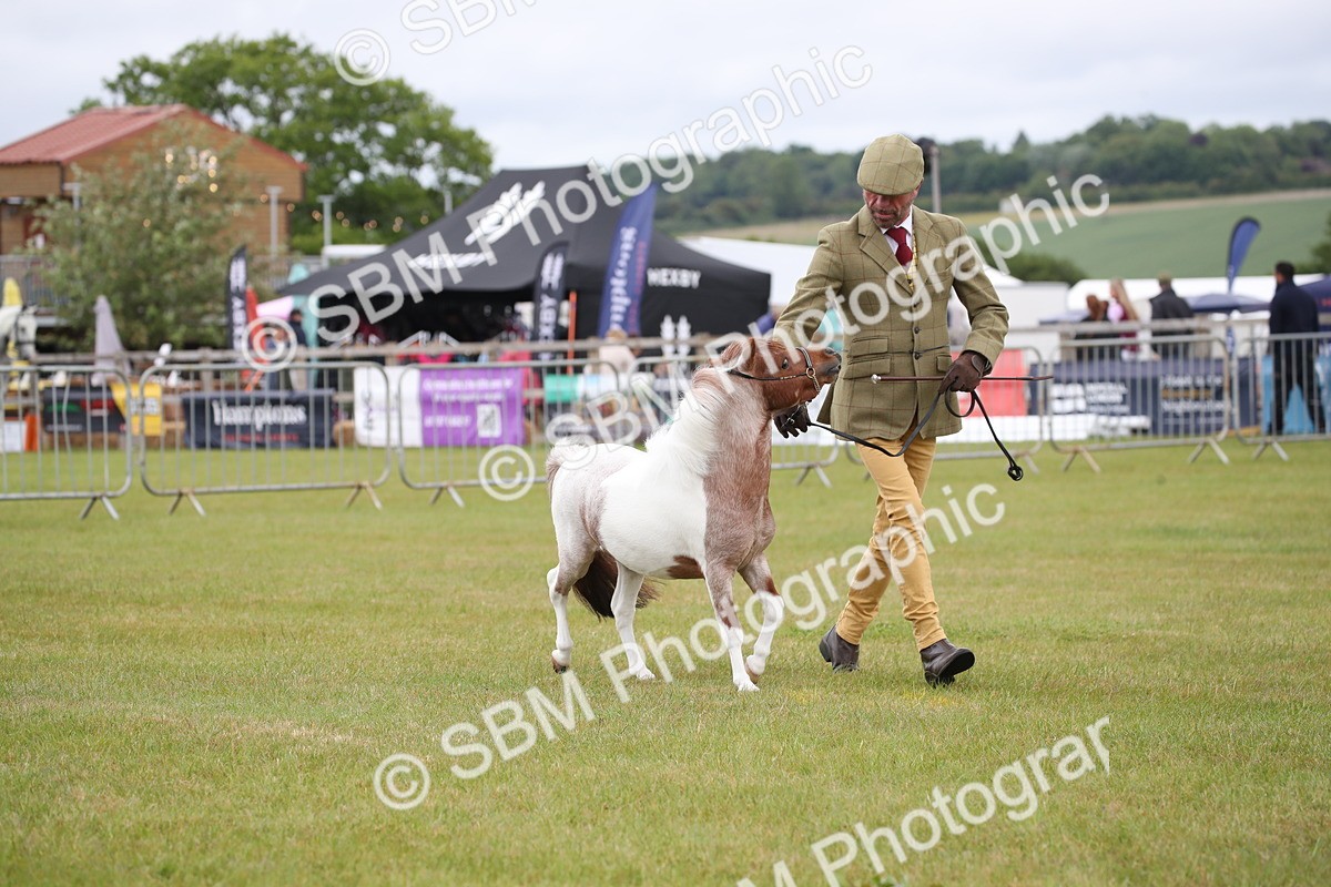 SBM_03776 - Class 23-25 - British Miniature Horse of the Year