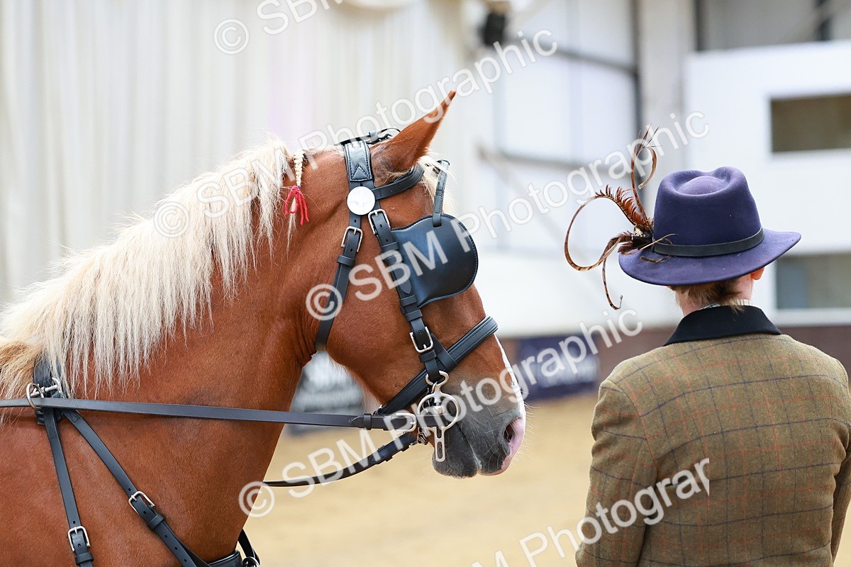 SBM_000654 - Class 11 - Peter Howell Memorial Gentlemen Whip