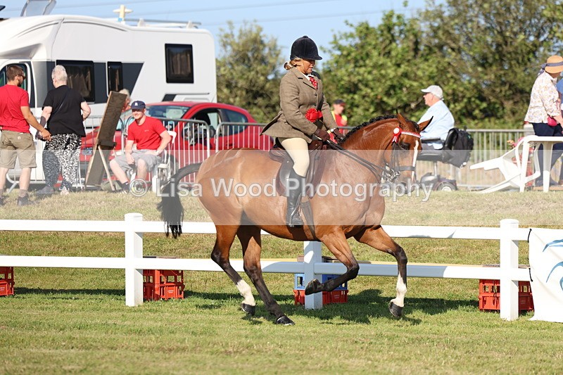 3E7A5208 - Class 1: Rising Star Small Hack/Riding Horses