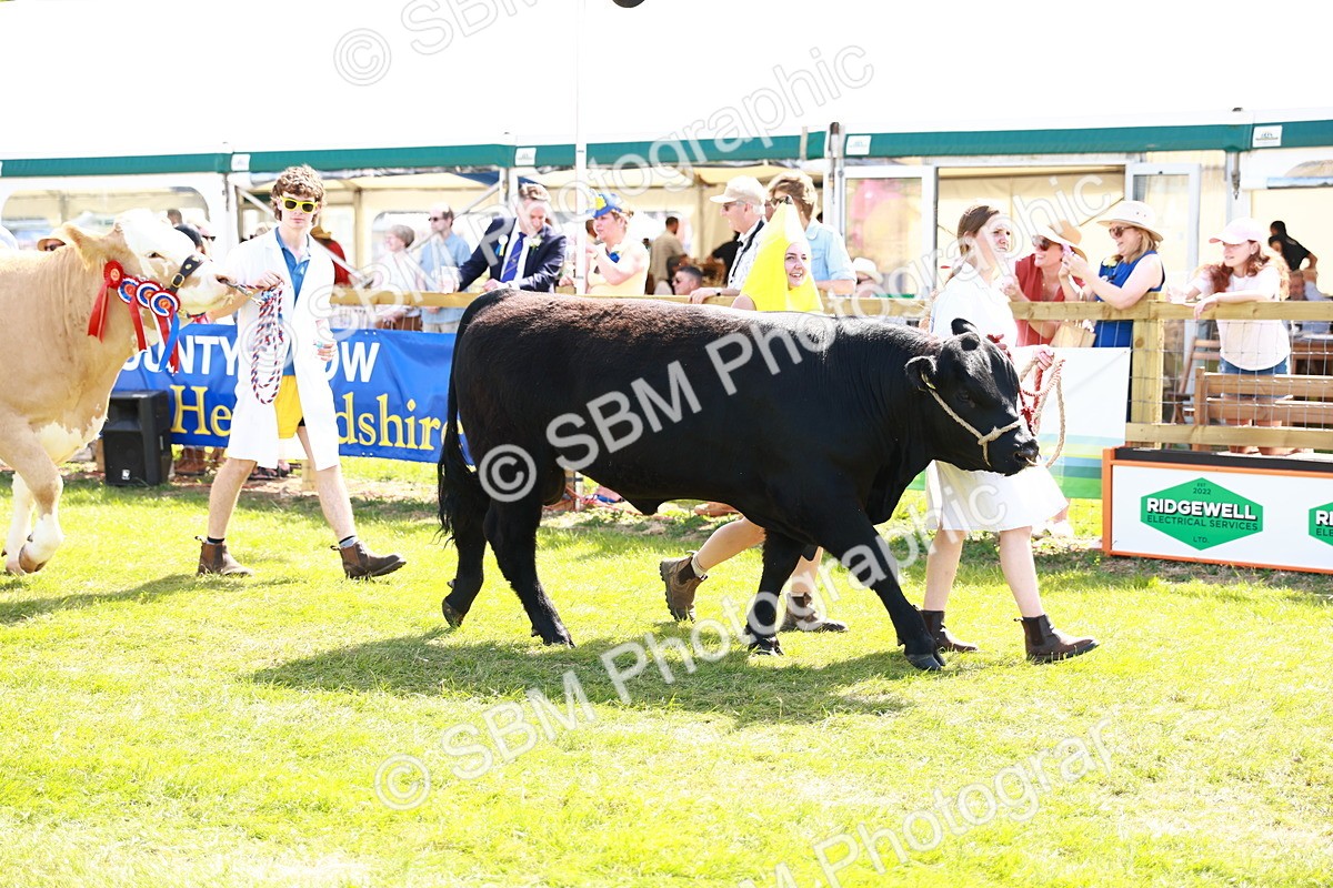 SBM_08432 - Grand Parade