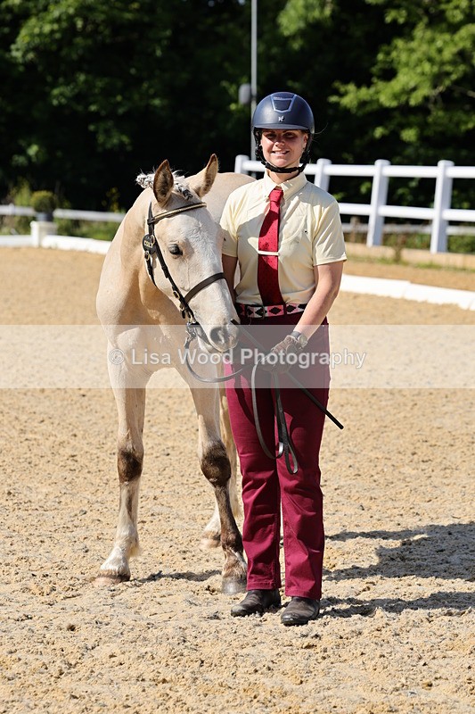 1X9A0774 - Class 4: Youngstock 1, 2, 3 year old to exceed 153cm
