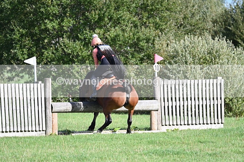 WJ7_1296 - Time 13:56 to 14:24