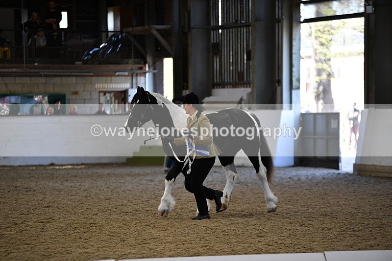 WJ5_3757 - Class 5 In Hand Veterans