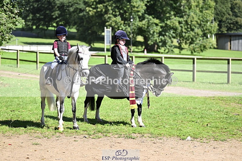 240728B-094746-00156 - Sunday Stable Shots and Fancy Dress