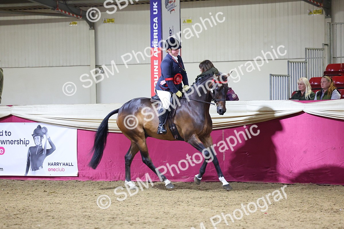0B8A4292 - Class 108Ridden Retired Racehorse- Final Judging