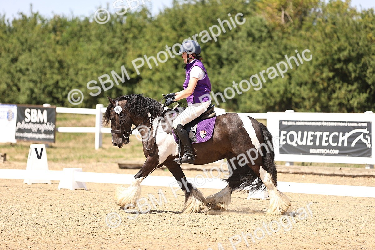 SBM_012313 - Novice 5 - 13.05-14.36