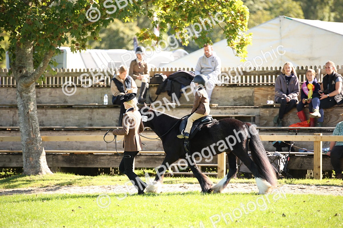 SBM_38982 - S11 - Best Ridden Horse & Pony
