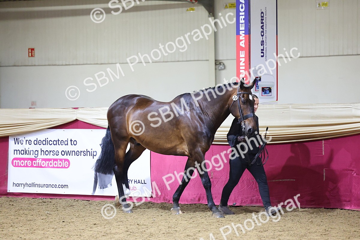 SBM_18783 - Class E IH Horse Champ