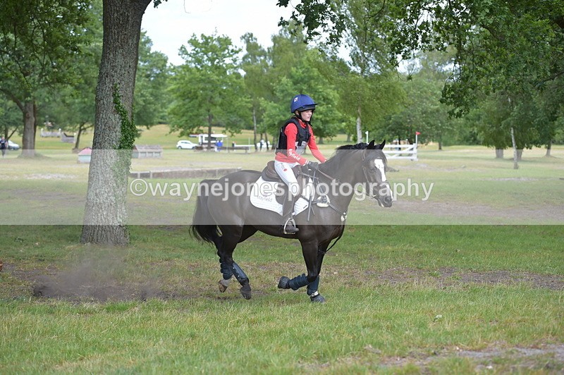 NGP_8082 - Time 11:39 to 11:48