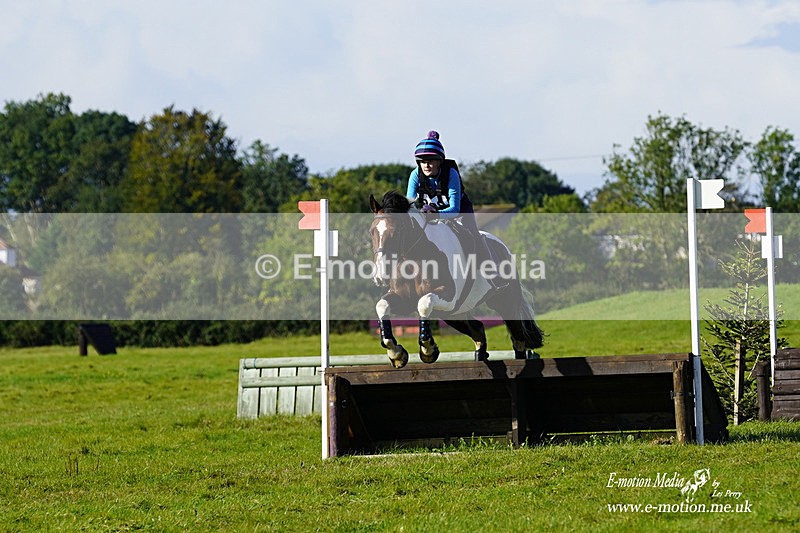  WWHT 031021 519 - WWEC Novice Restricted (0.80m) 18/10/20