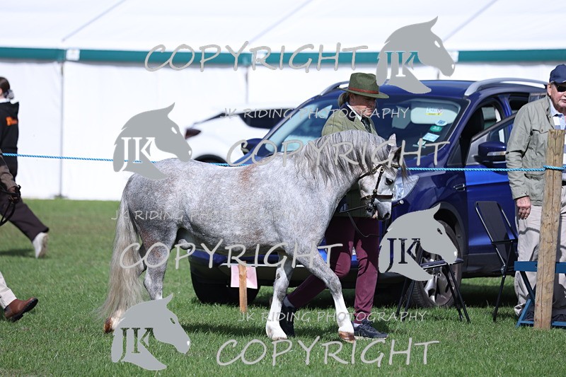 APP_2745 - Class 10a/b M&M in hand