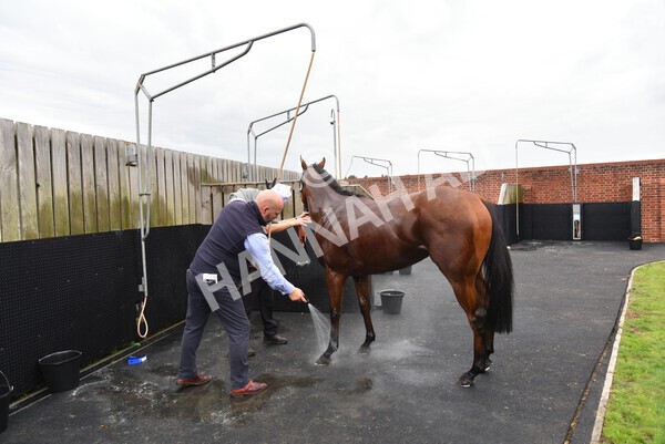 yr20082021r3-46 - Race 3 3.00pm Al Basti Equiworld Dubai Gimcrack Stakes