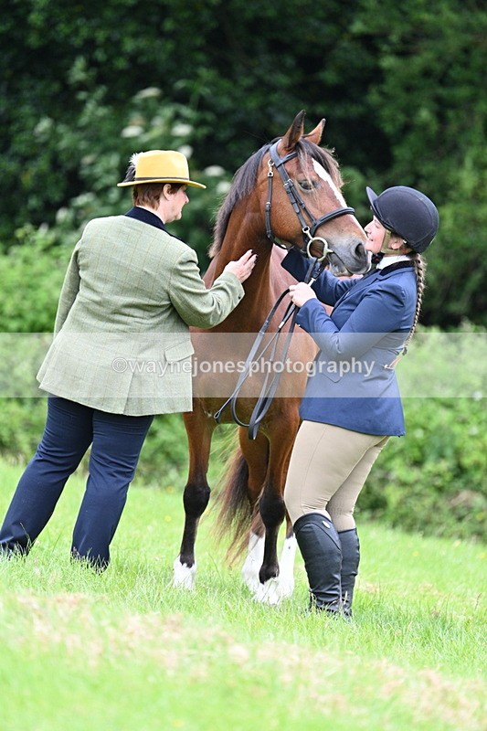WJ7_4440 - Class 14B Prettiest Mare