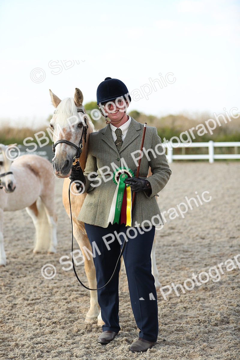 SBM_09102 - Class 29 IH Veteran Pony