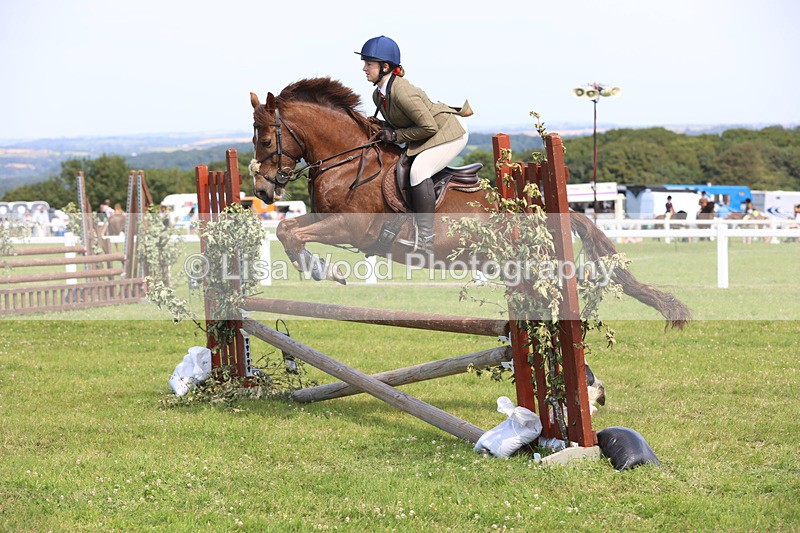 JPP_3687 - Class 23: Working Hunter 80cm
