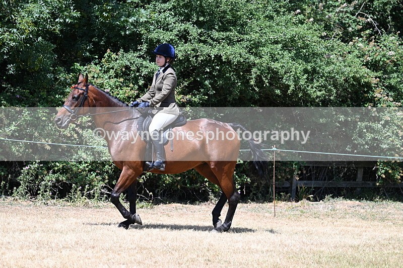 WJ7_2763 - Class 7 Riding Club Show Horse
