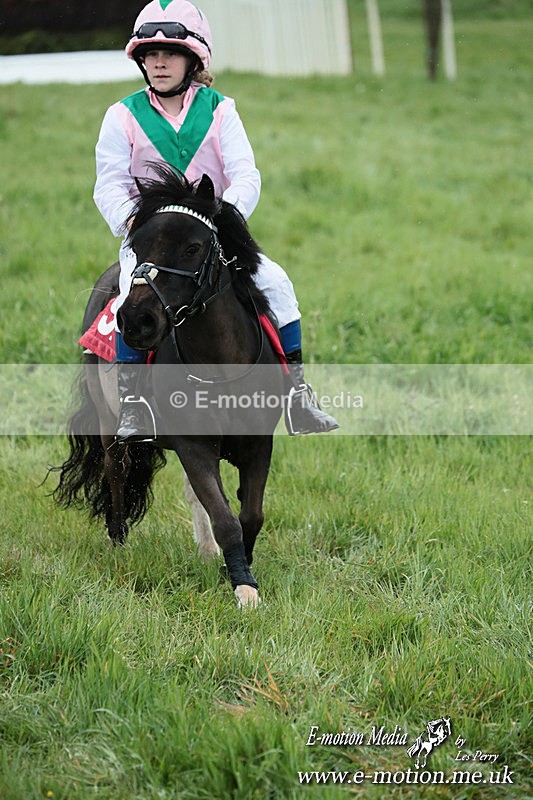 SHETPR 210425 238 - Shetland Ponies Paxford Races 21/04/25