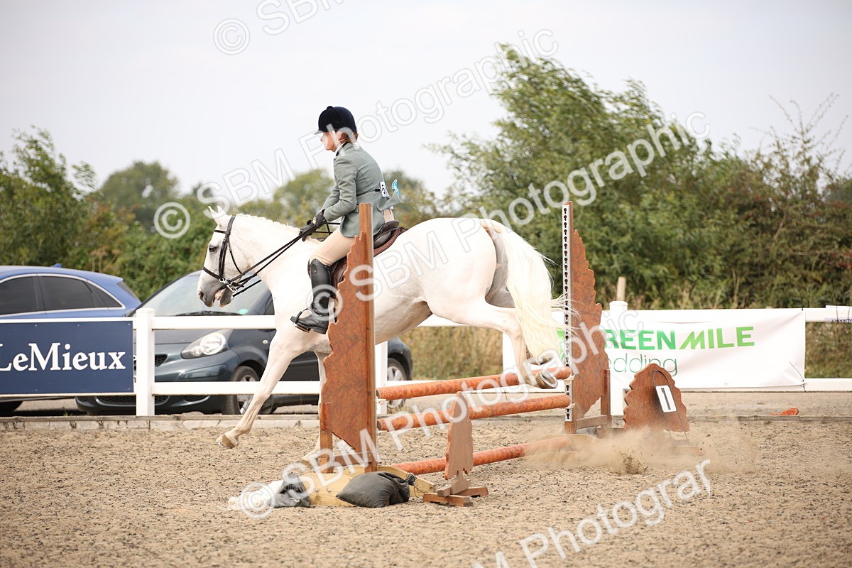 SBM_16151 - Class 409a - Working Veteran 80cm (15-19)