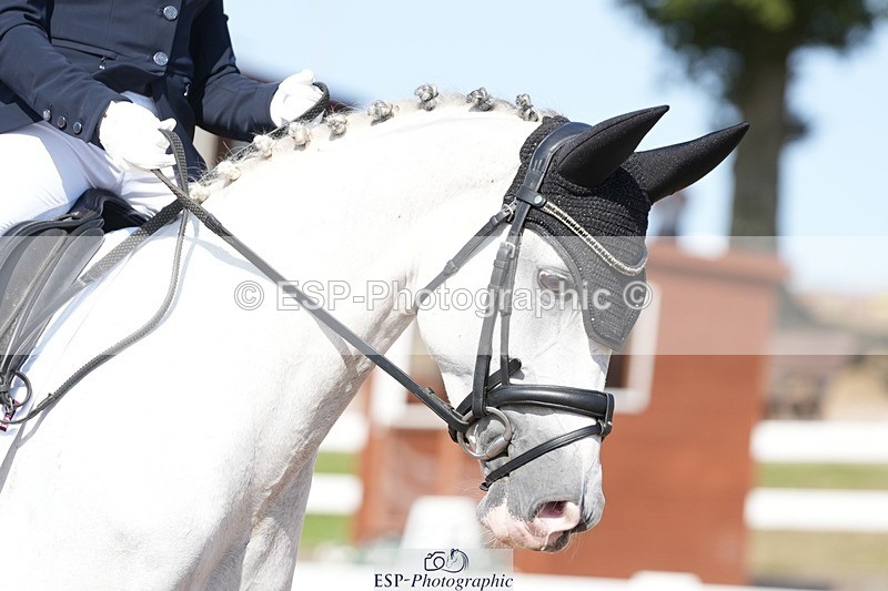 250817-160556-11844 - 207-Esme.LangBrouwershaven.Silvia