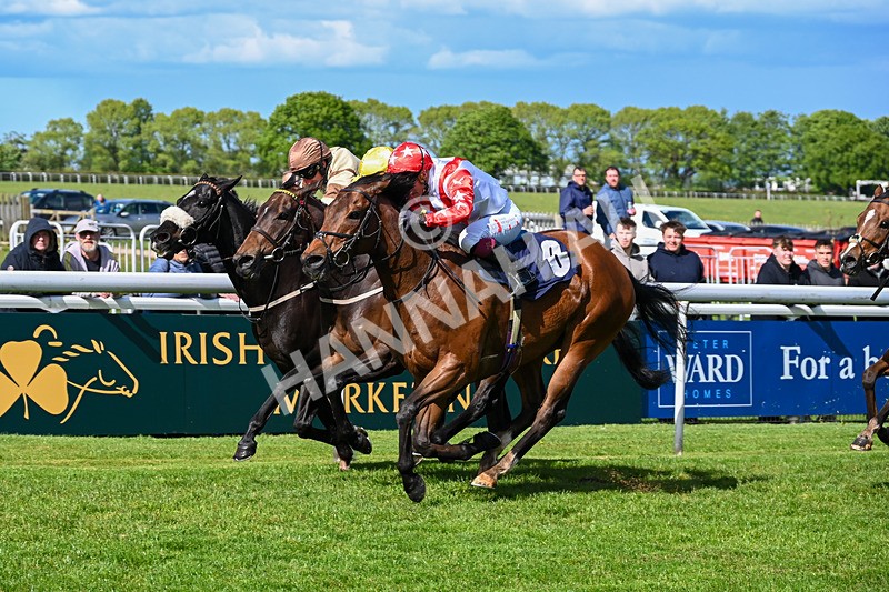 120526-Race 4-Dandy Dinmont-8279 - Race 4 4.00pm Annie Oxtoby Memorial Handicap
