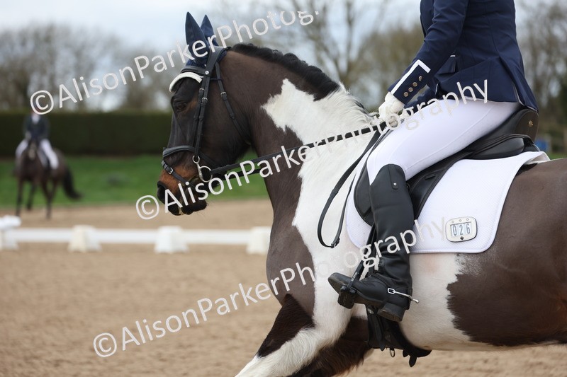 20260301-0508 - Class 3 - Novice 4