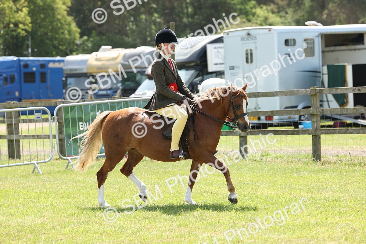 SBM_06782 - Class 26-30 - Mountain and Moorland Ridden
