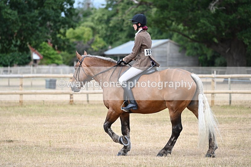 WJ6_7357 - Class 9 Tack and Turnout