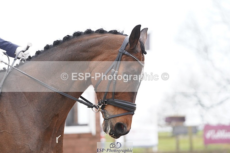 250404-095820-04162 - 013-Chloe.Dawes-Danibelle.Delicious