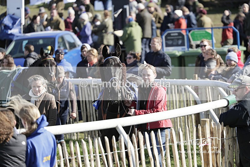 PtP 100423 965 - Old Berkshire Point-to-Point Lockinge 10/04/23