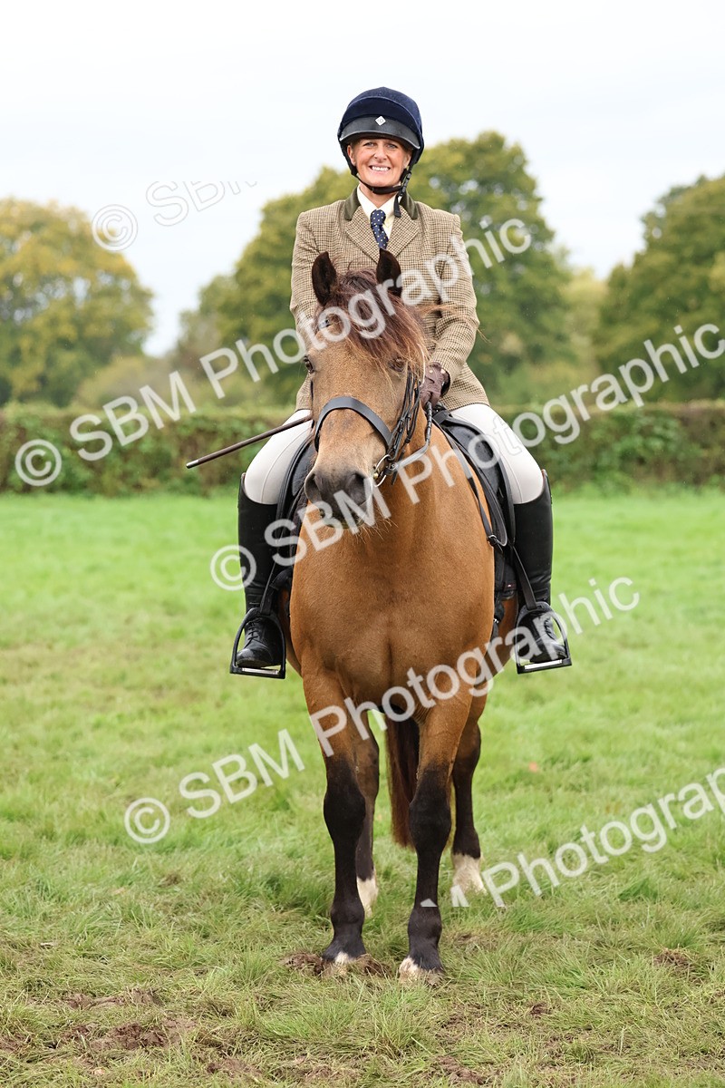 SBM_69644 - S62 - Mountain & Moorland Ridden Large Breeds