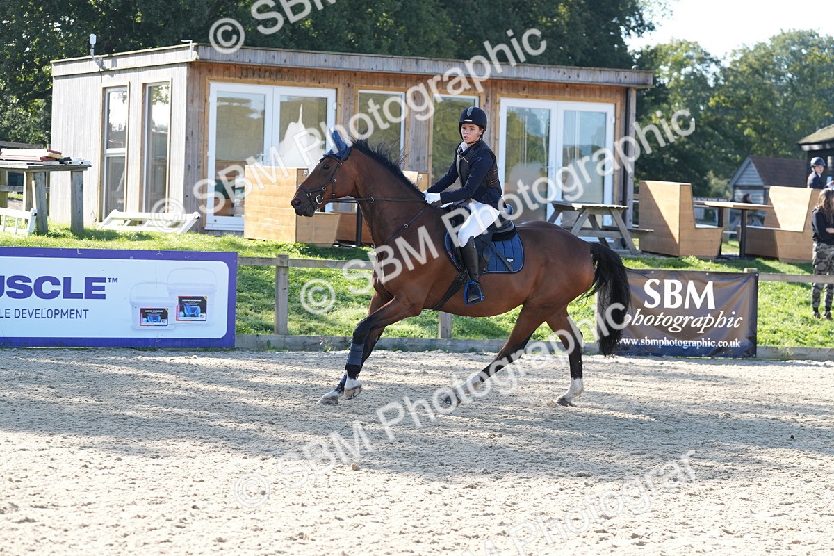 SBM_36190 - J 20 - Junior Horse 50cm Championship
