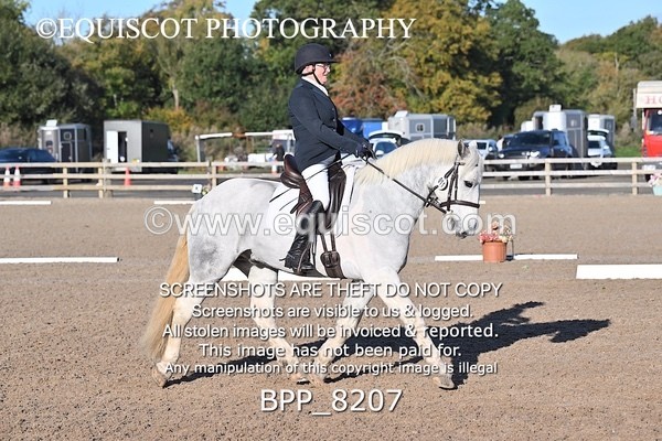 BPP_8207 - LONG ARENA