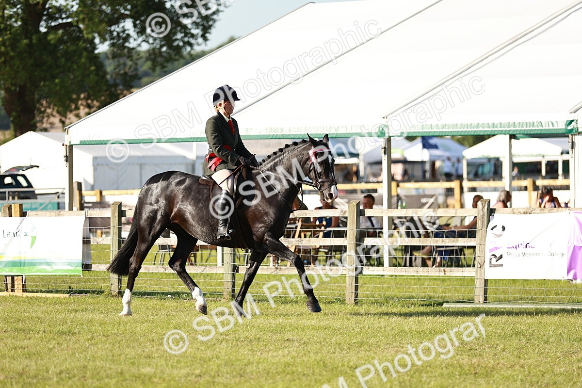 SBM_20075 - Class 115-116 - LIHS BSHA Rising Star Working Hunter & Show Horse