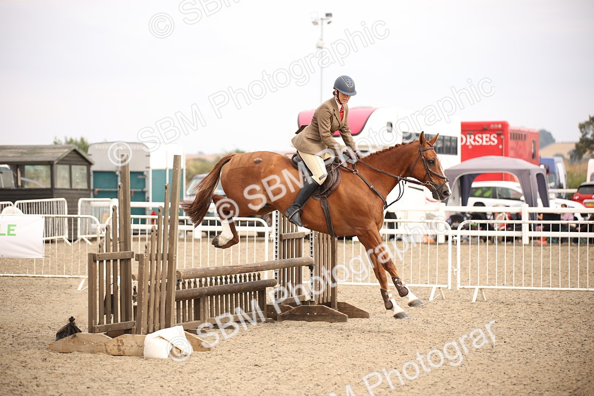 SBM_17082 - Class 409b - Working Veteran 80cm (20+)