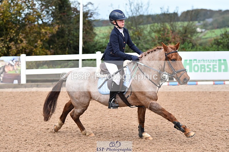 231029A-103114-02314 - 70cm Pony Intro