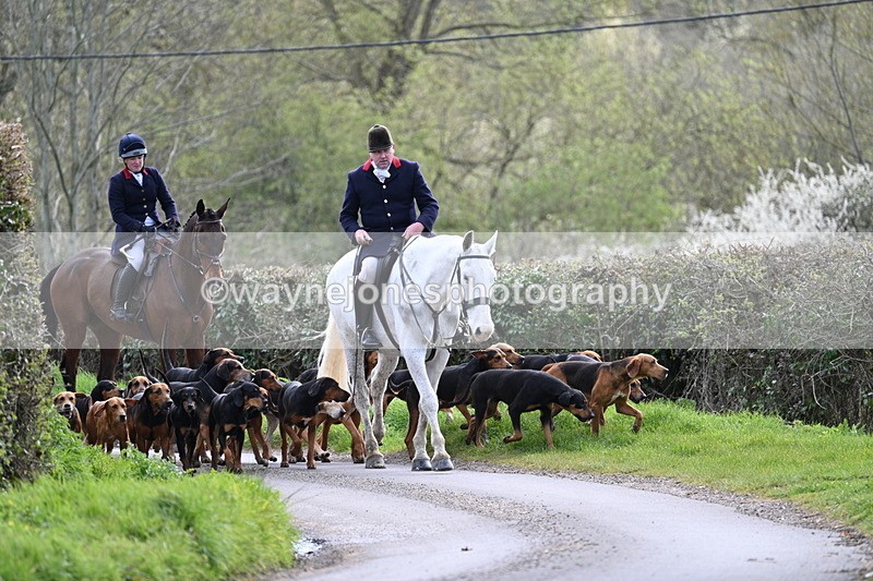 WJ7_9751 - Walk Home