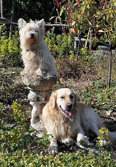 035jpg - Animals