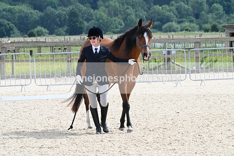 WJ7_8206 - Time 16:10 to 16:25