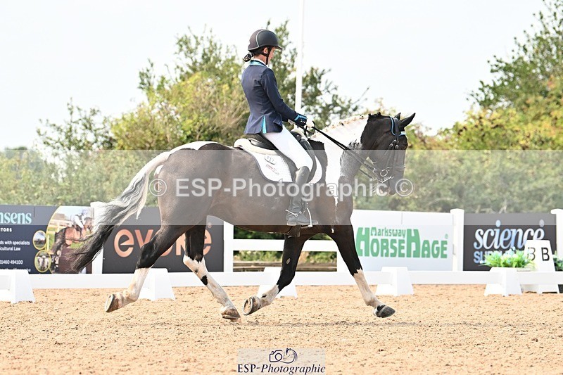 250816-153658-05913 - 037-Alys.MatraversTiger.Mazariti