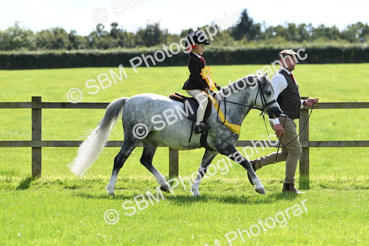 SBM_44259 - Lead Rein Supreme Championship