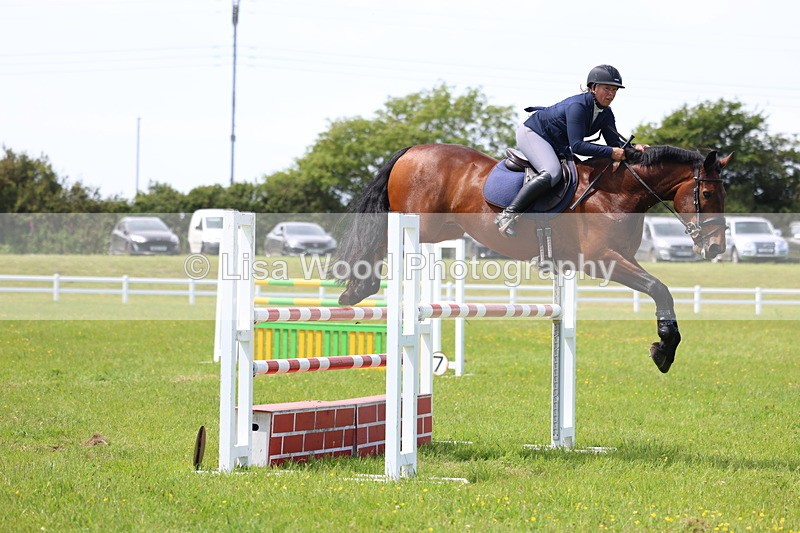 3E7A1374 - Class 12: Senior Foxhunter/1.20 open