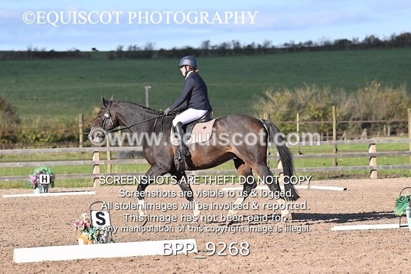 BPP_9268 - SHORT ARENA